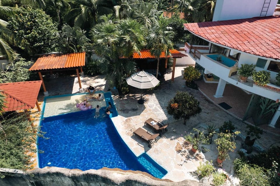 Property building, Patio, Day, Garden, Garden view, Pool view, Swimming pool, sunbed