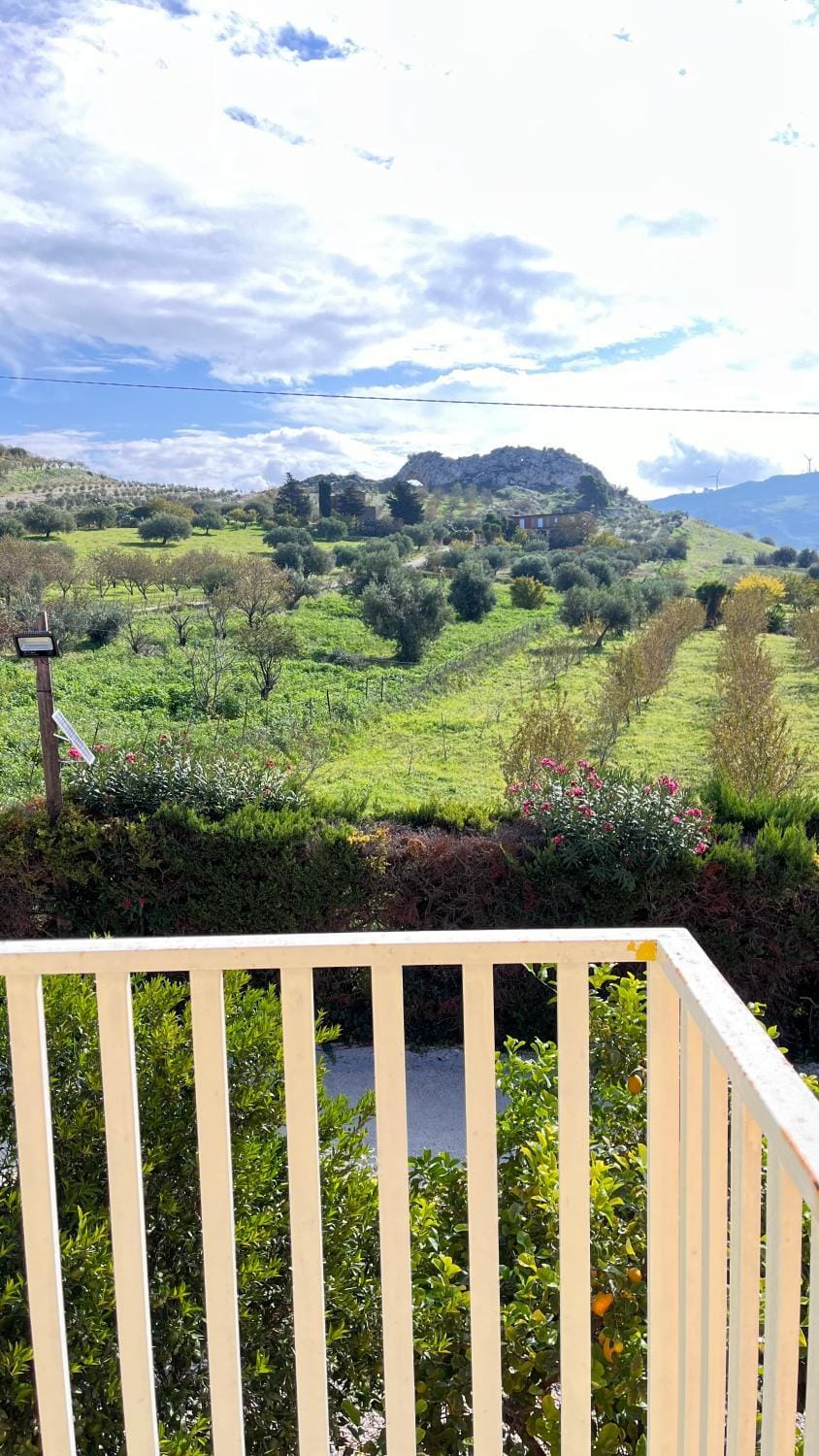 Spring, Mountain view
