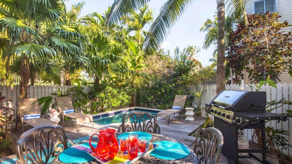 The Smiling Ibis by Last Key Realty House in Key West