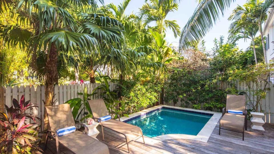 The Smiling Ibis by Last Key Realty House in Key West