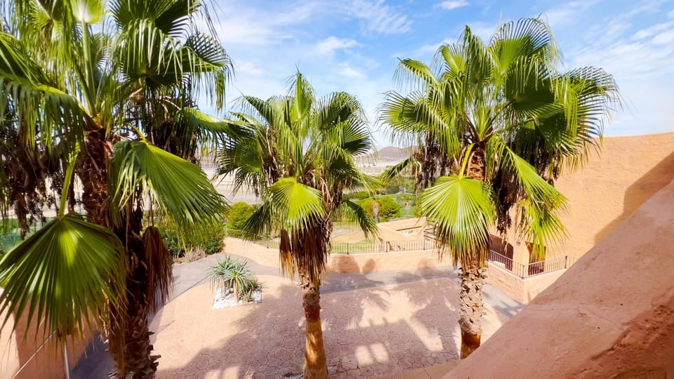 Garden view, Inner courtyard view