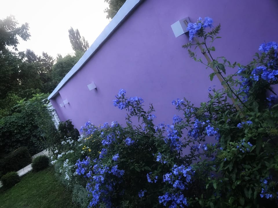 Apartman BAHUS Vrdnik Apartment in Vojvodina