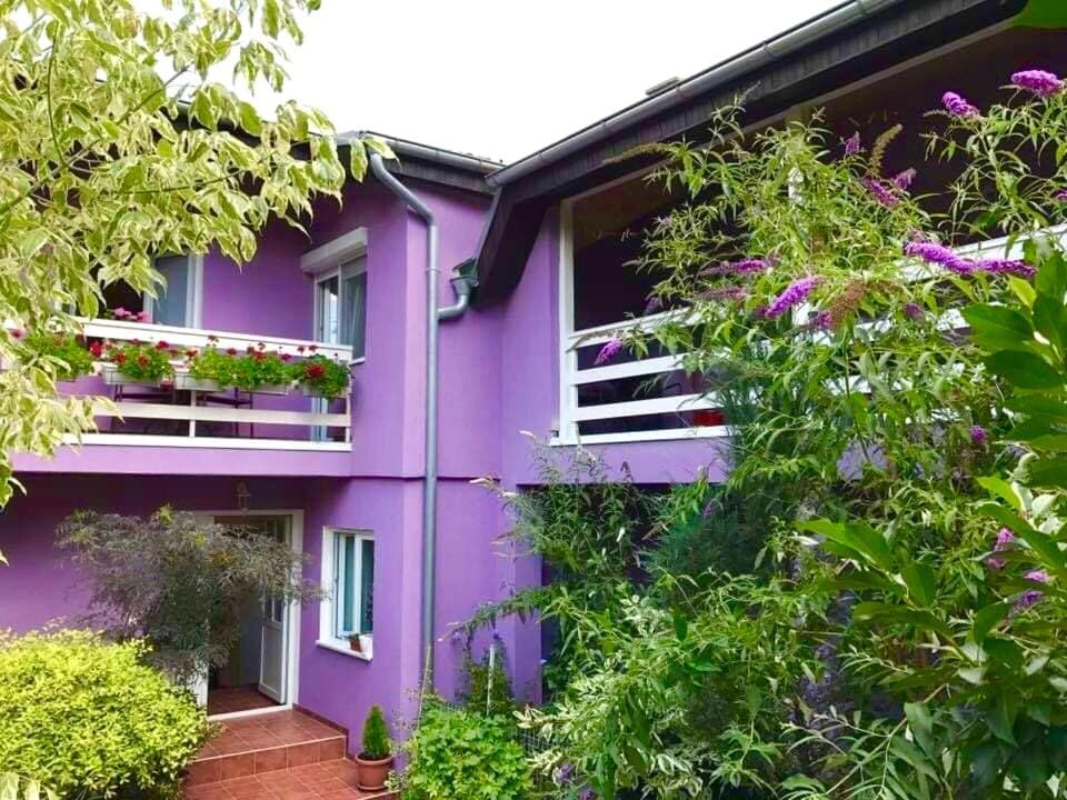 Apartman BAHUS Vrdnik Apartment in Vojvodina