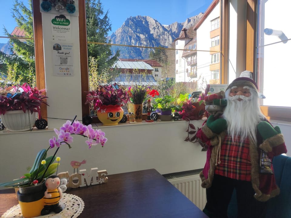 Little Bear Busteni 3 - Închiriere integrală, cameră de jocuri, parcare privată, potrivită și pentru munca la distanță House in Prahova, Romania