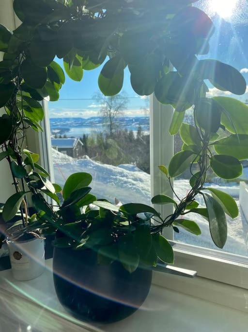 NY og moderne studioleilighet med elbil lading Apartment in Viken, Norway