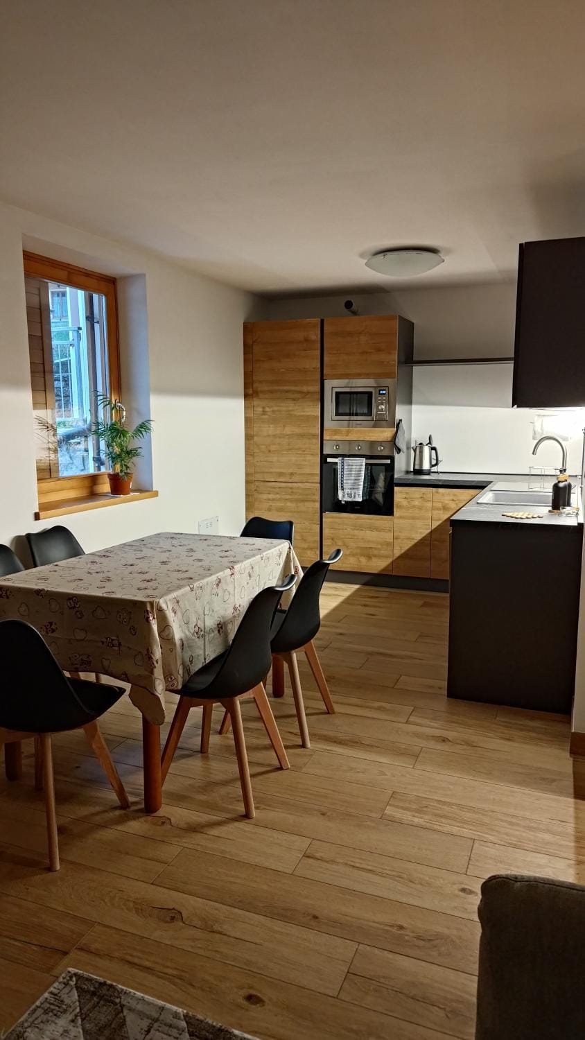 Kitchen or kitchenette, Dining area, stove