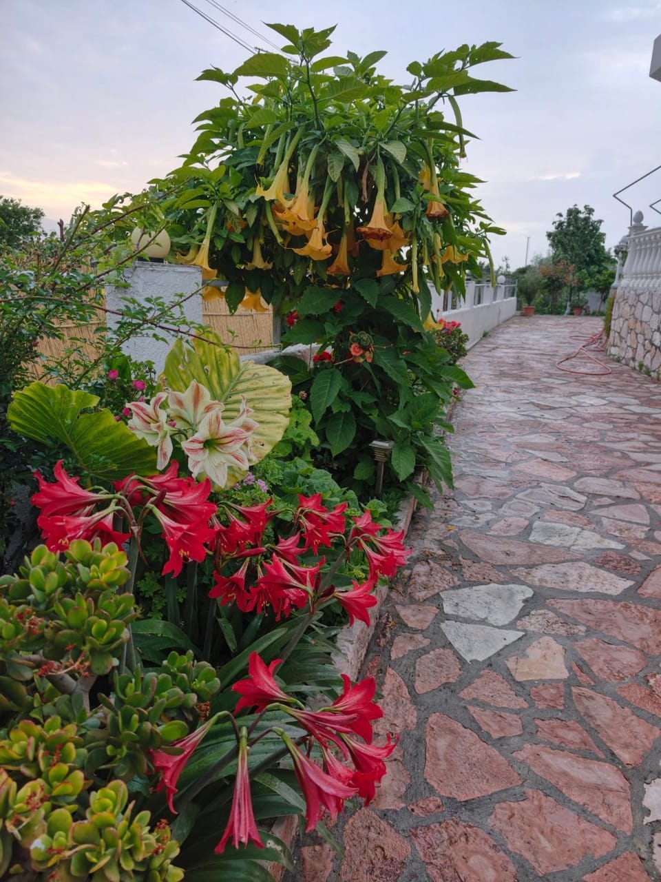 Elisabet Seaside Villa Apartment in Ksamil