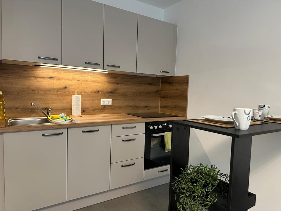 dishwasher, minibar, oven, stove