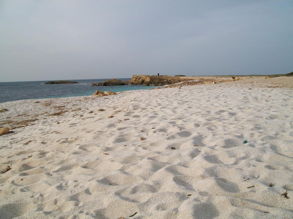Day, Beach