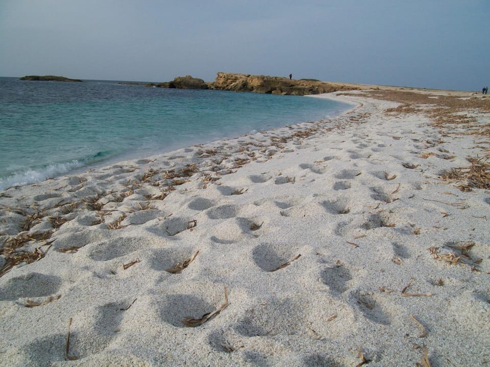 Day, Beach