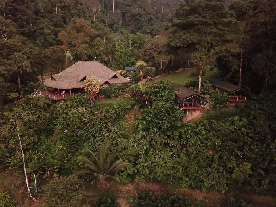 Rafiki Safari Lodge Nature lodge in Quepos