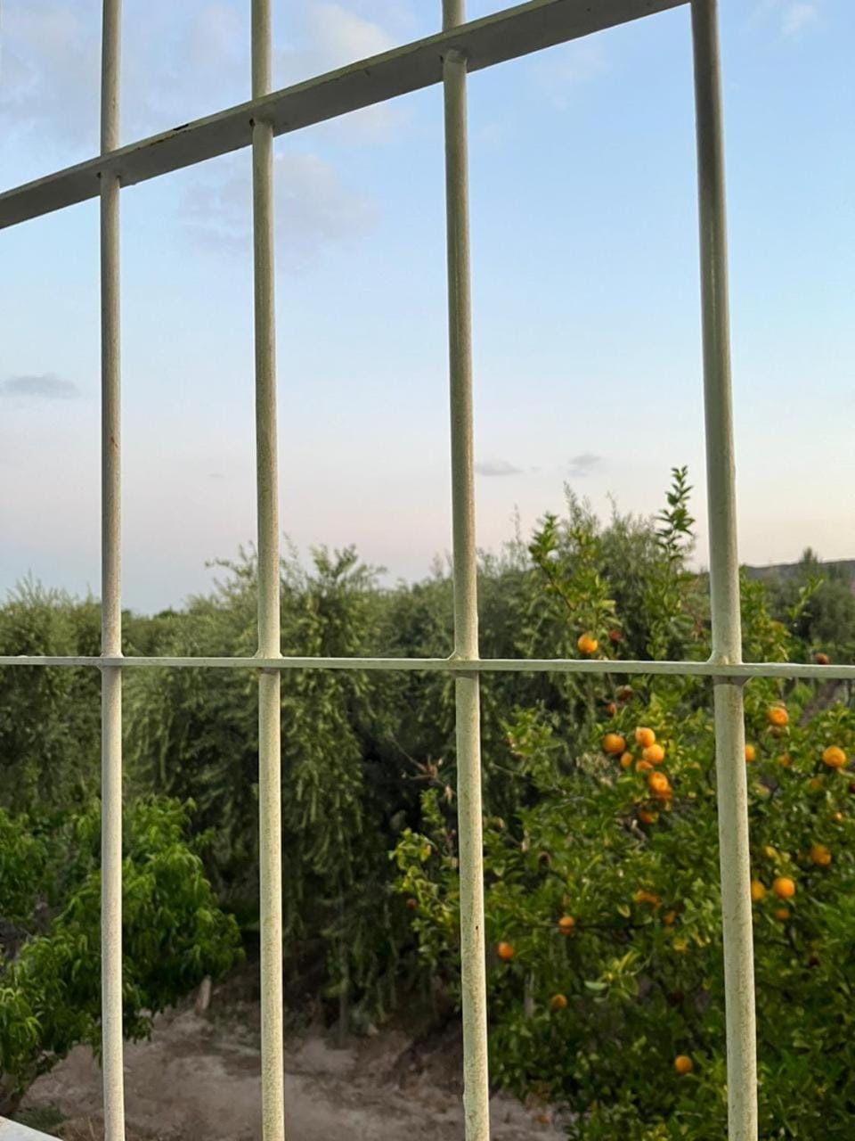 Day, Balcony/Terrace