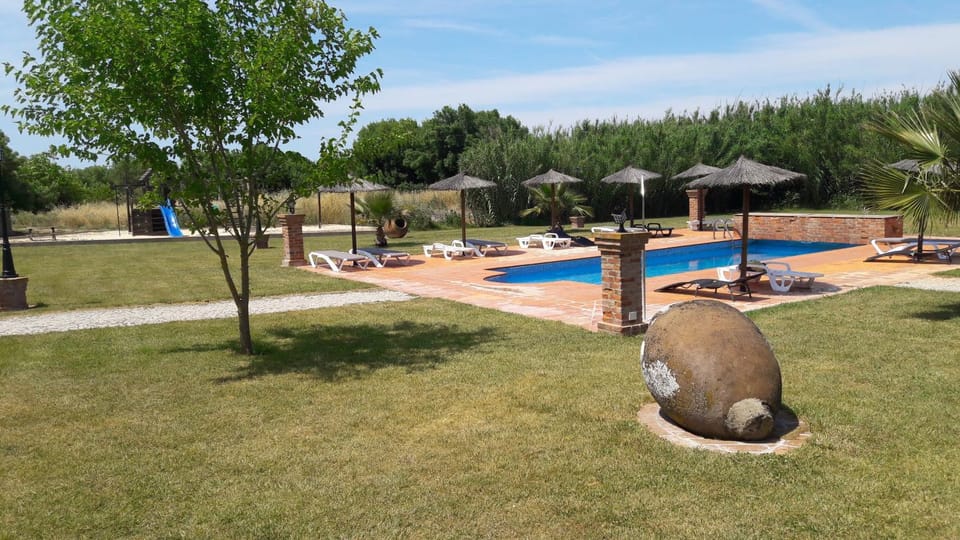 Garden, Swimming pool