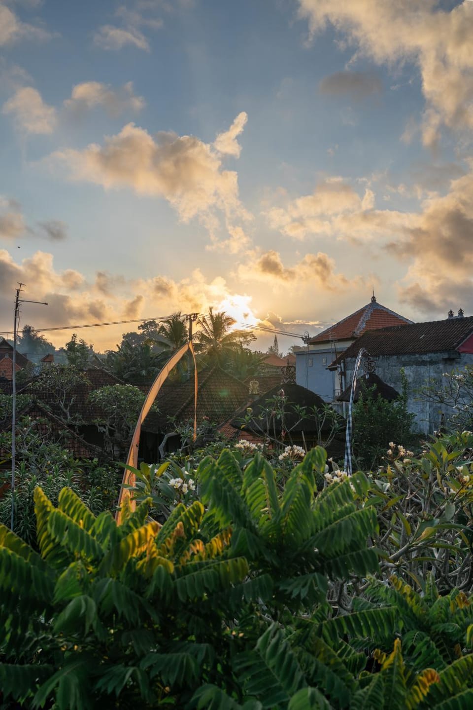 Day, Neighbourhood, Natural landscape, Garden, View (from property/room), Garden view, Sunrise, Sunset