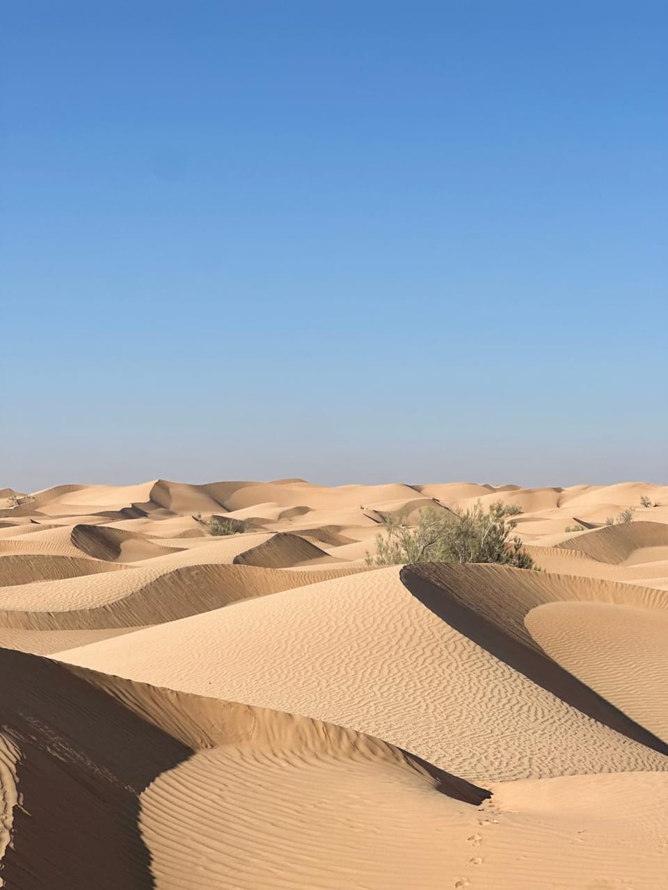 Golden dune Bedouin camp Luxury tent in Oman