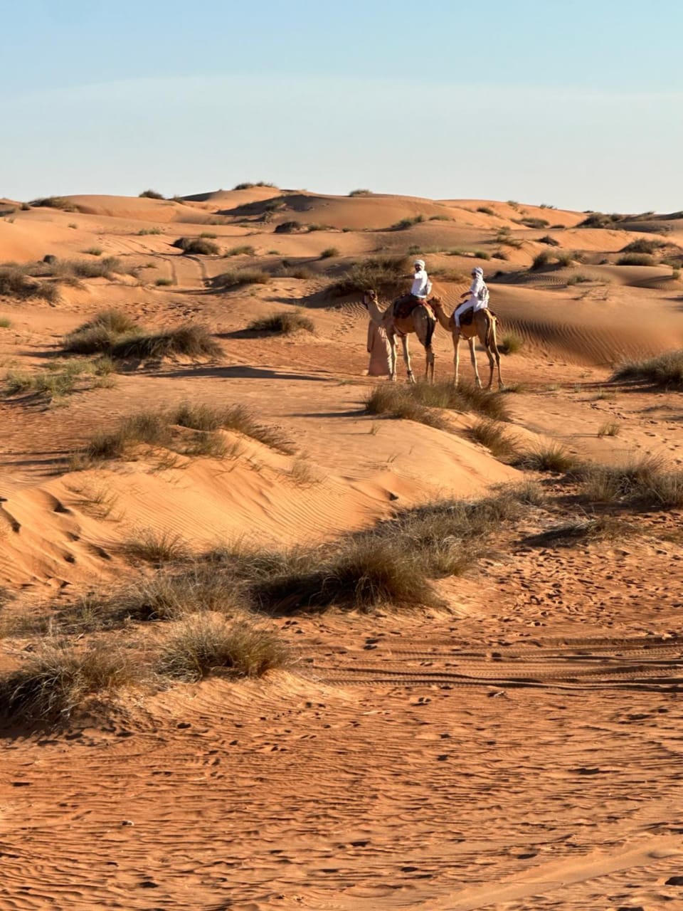 Golden dune Bedouin camp Luxury tent in Oman