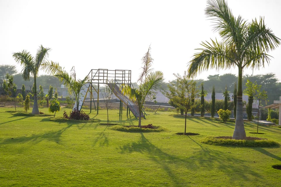 Day, Natural landscape, Garden, Garden view