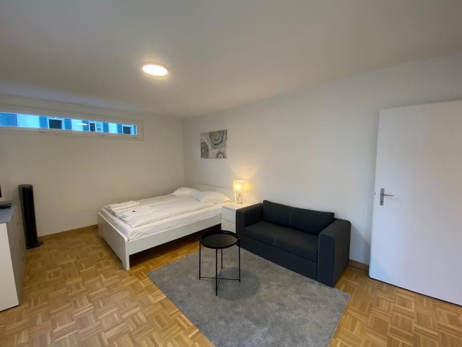 Practical studio in the city center - Art 7 Apartment in Zurich City