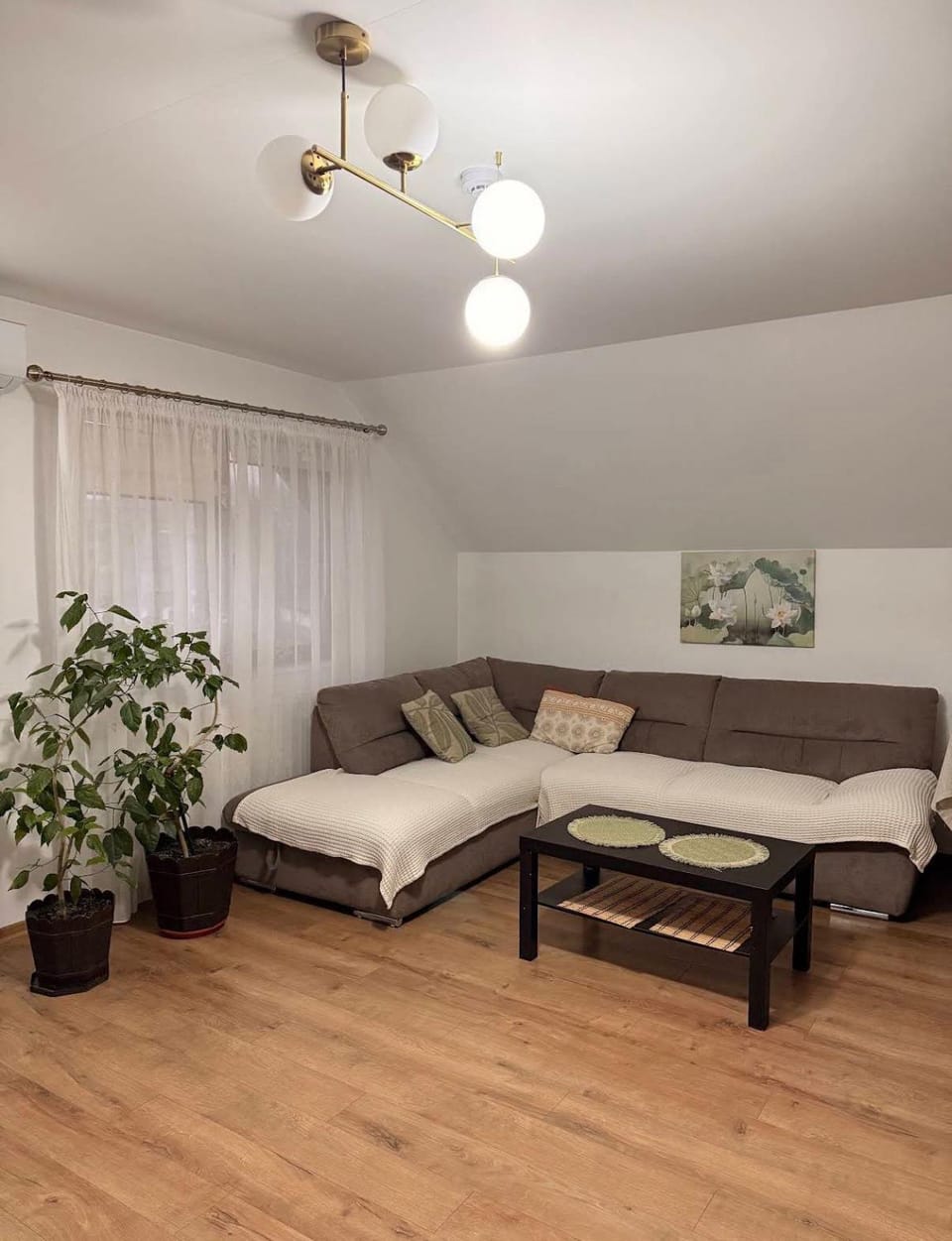 Pensiunea HORA Bed and Breakfast in Romania