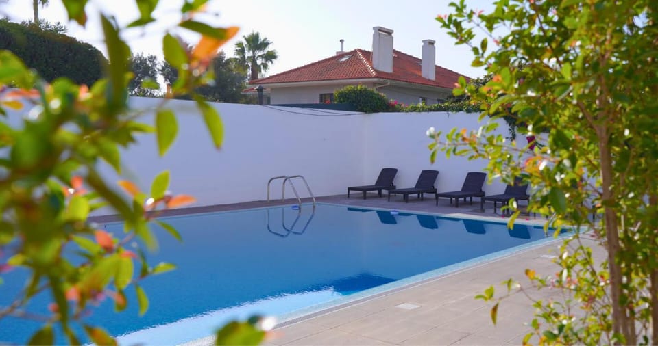 Pool view, Swimming pool, sunbed