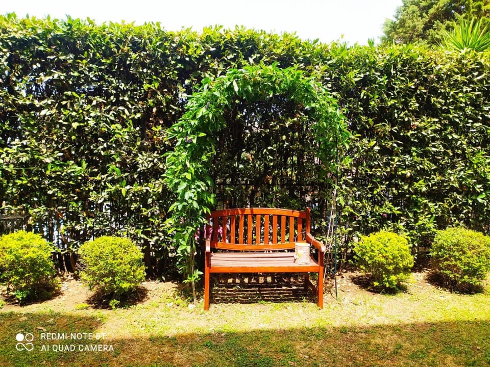 Garden, Garden view