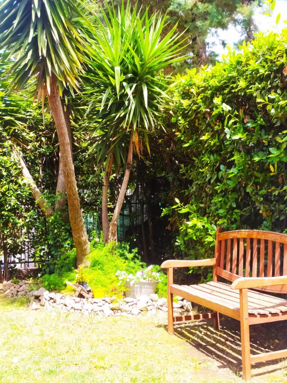 Garden, Garden