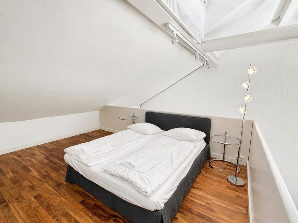 Exclusive Loft in Seefeld - Mühle Apartment in Zurich City