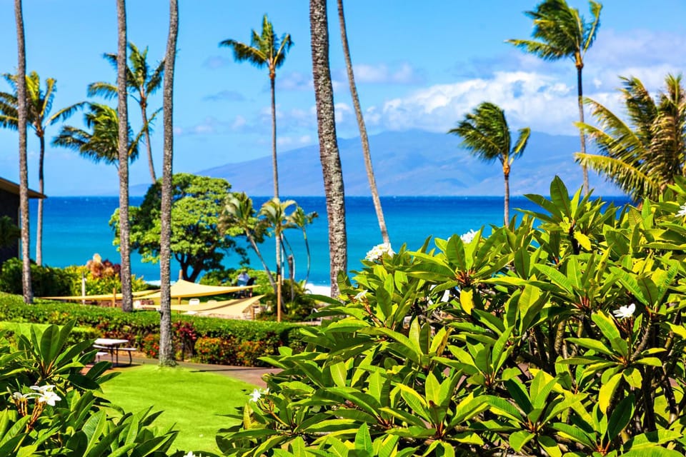 Napili Shores B211 Apartment in Kapalua