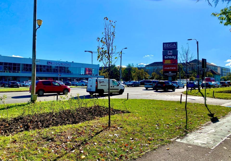 Day, Neighbourhood, Street view