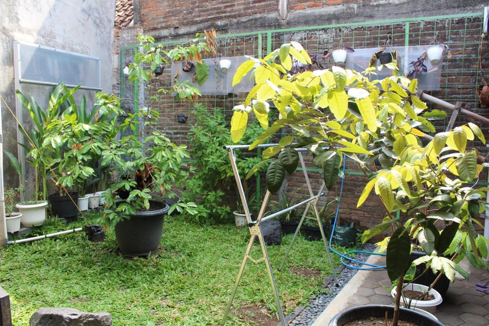 Patio, Balcony/Terrace