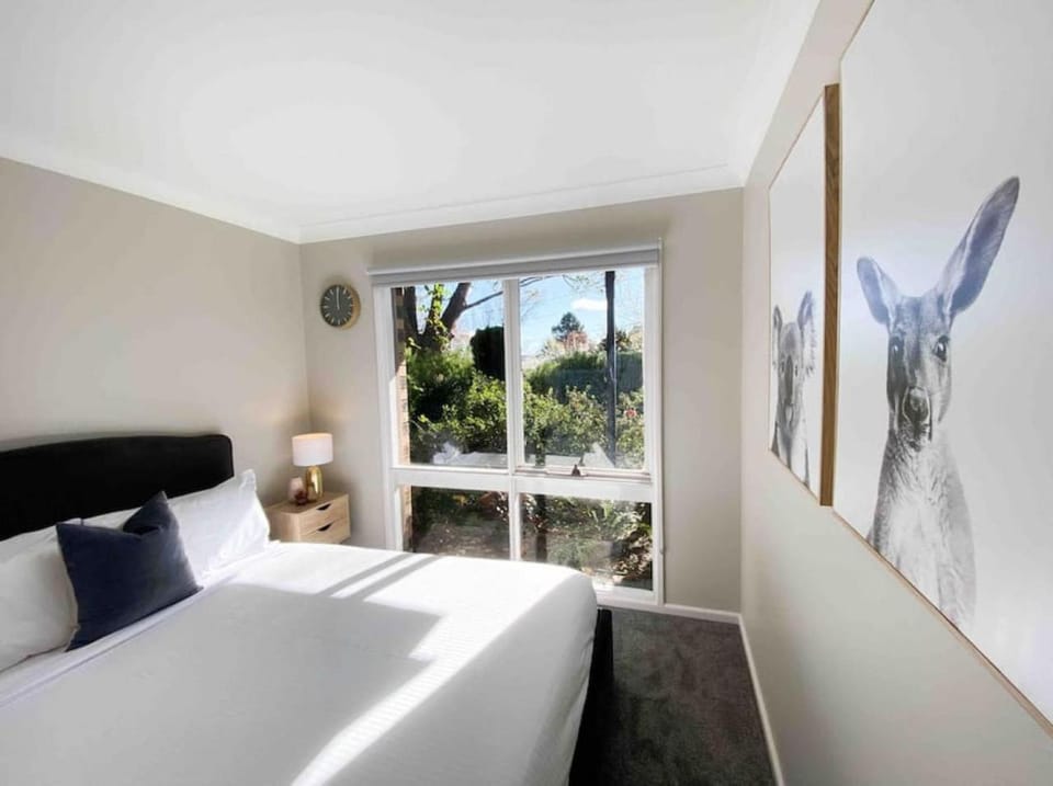 Sunrise Artist at Mt Victoria House in Mount Victoria
