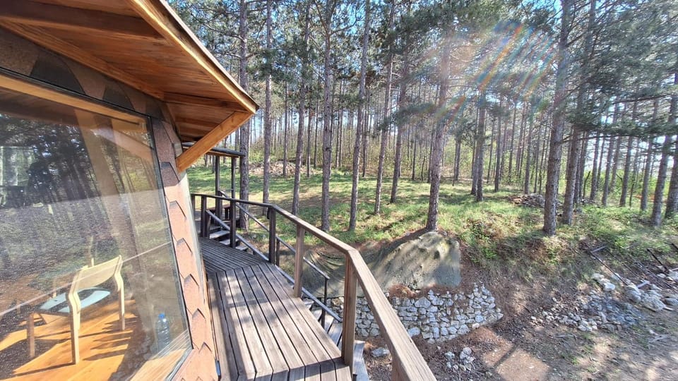 The Forest Sea Dome Villa in Varna
