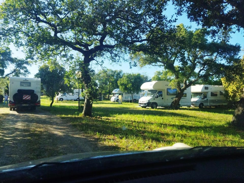 Neighbourhood, Natural landscape, Garden, Garden view, Parking