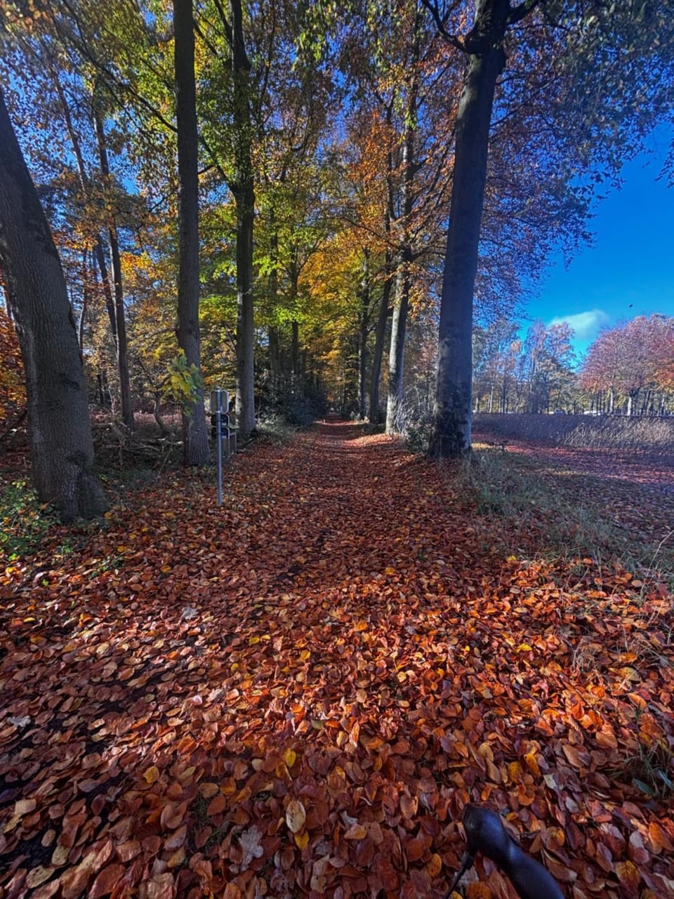 Natural landscape