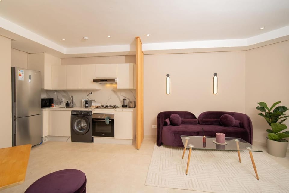Kitchen or kitchenette, Living room, Seating area, oven, stove