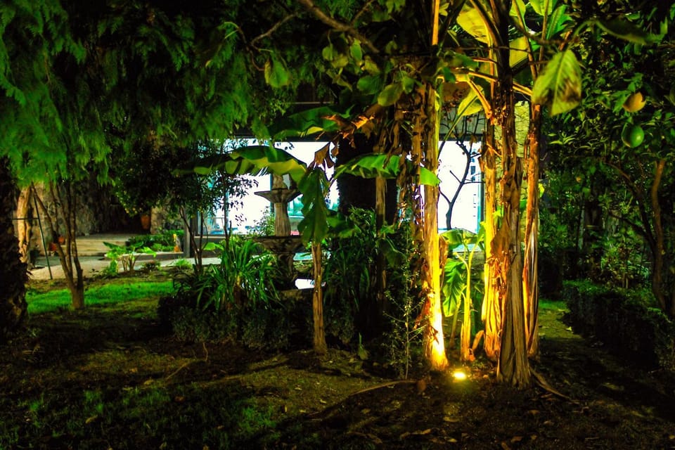 Spring, Night, Garden, On site, Garden view