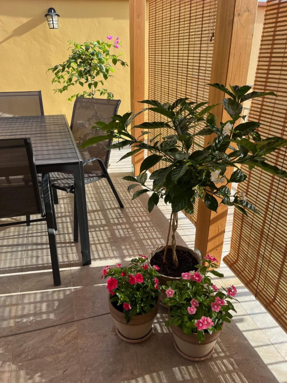 Balcony/Terrace