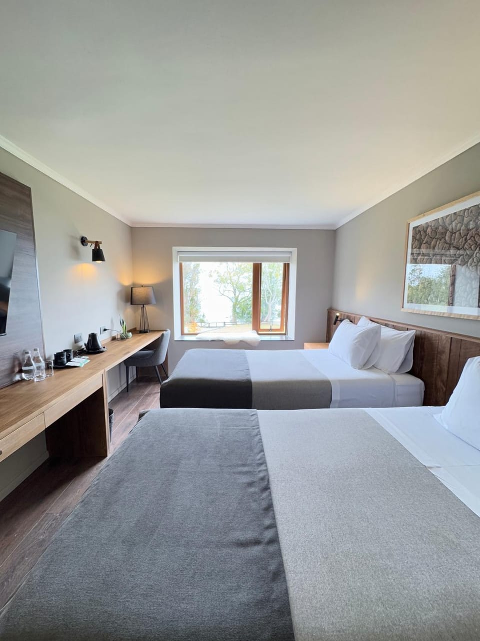 Bed, TV and multimedia, Photo of the whole room