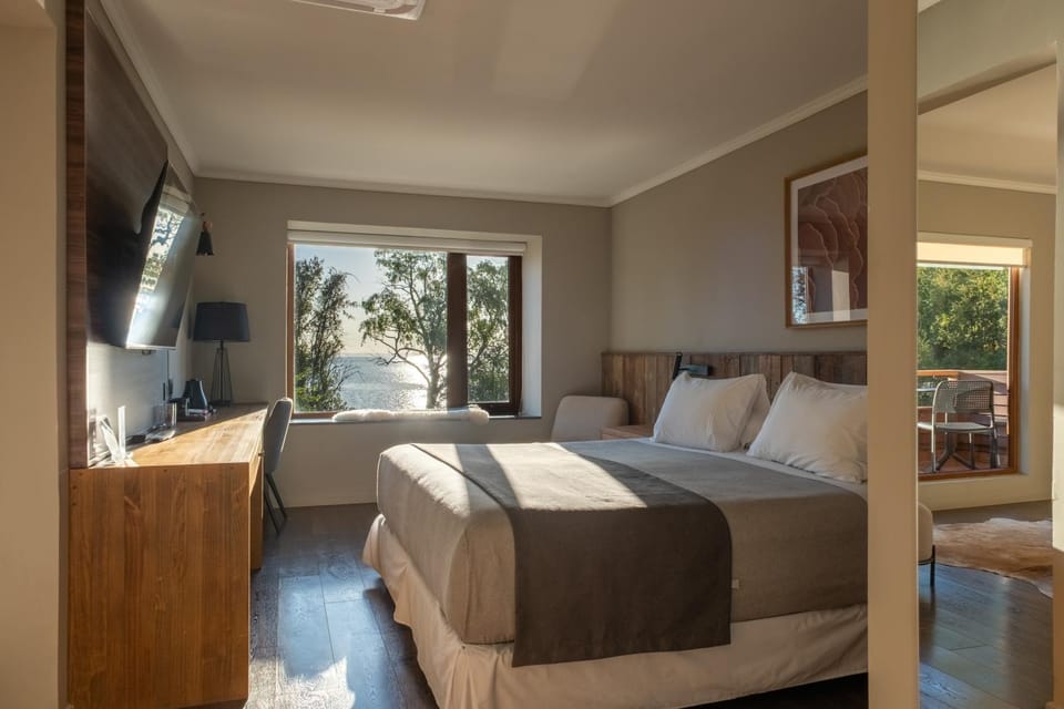 Bed, TV and multimedia, Living room, Photo of the whole room, Seating area, Bedroom