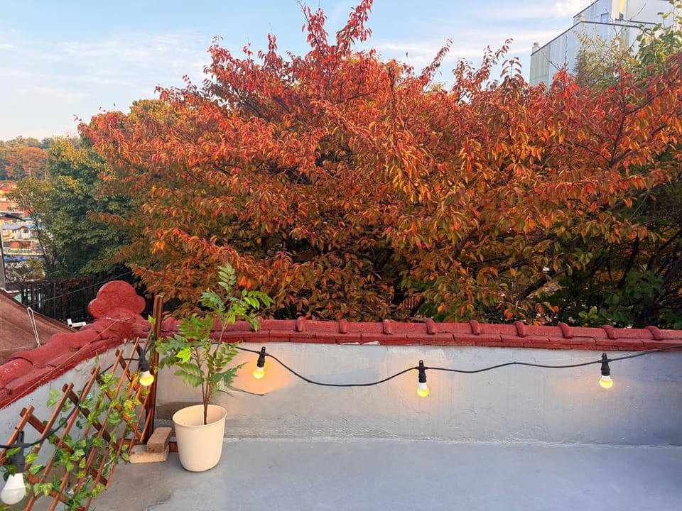 K-rooftop Nodeul House Villa in Seoul