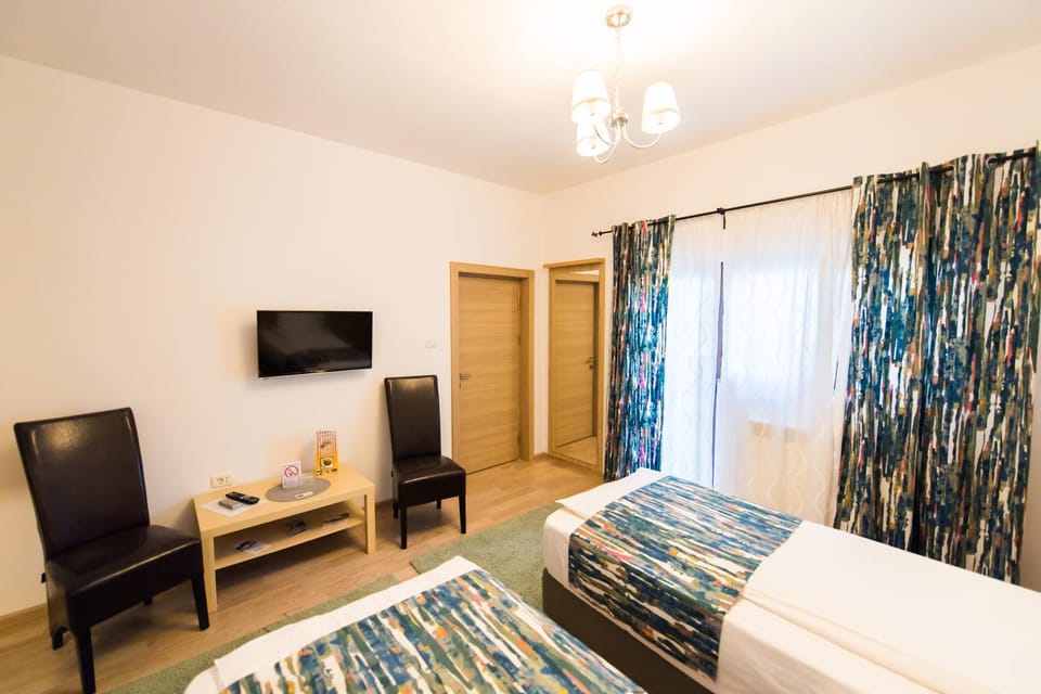 Pensiunea Puiu Bed and Breakfast in Romania