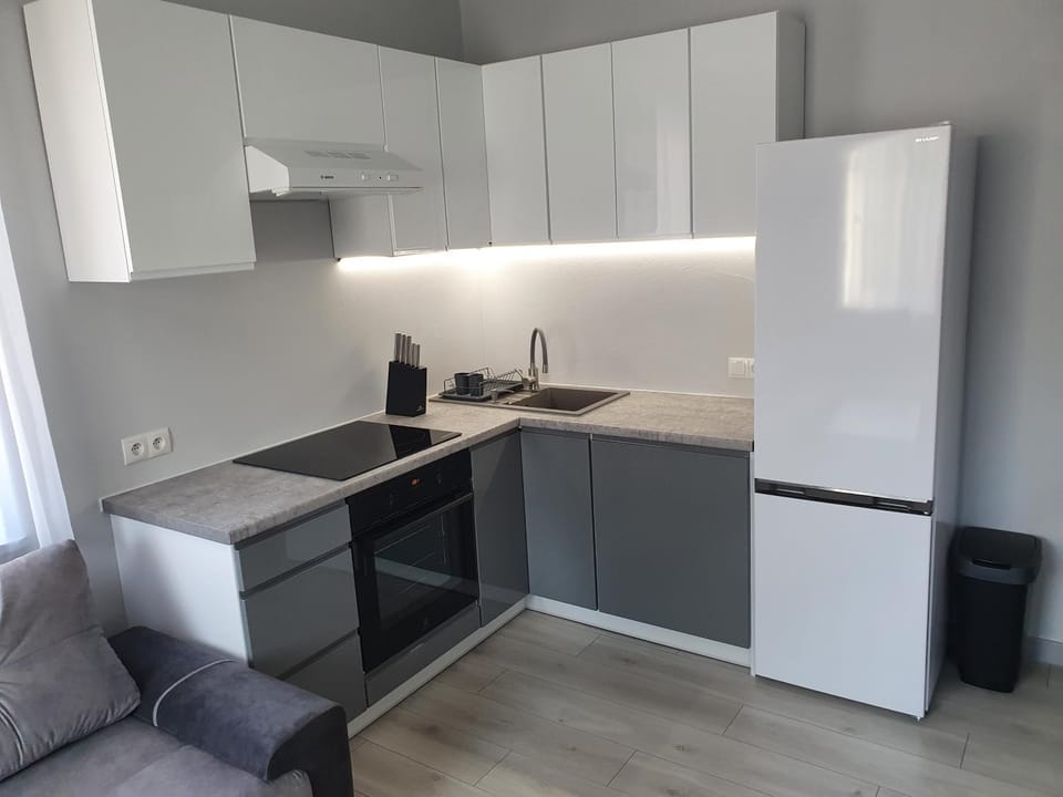 Kitchen or kitchenette, dishwasher, stove