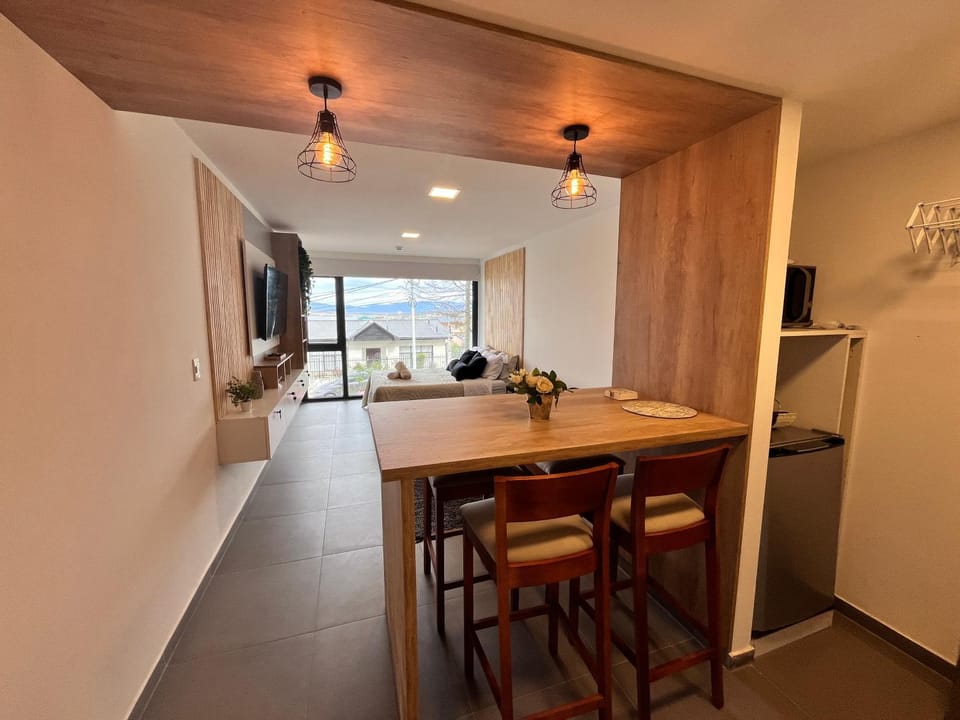 Kitchen or kitchenette, Living room, Photo of the whole room, Dining area, heating, internet