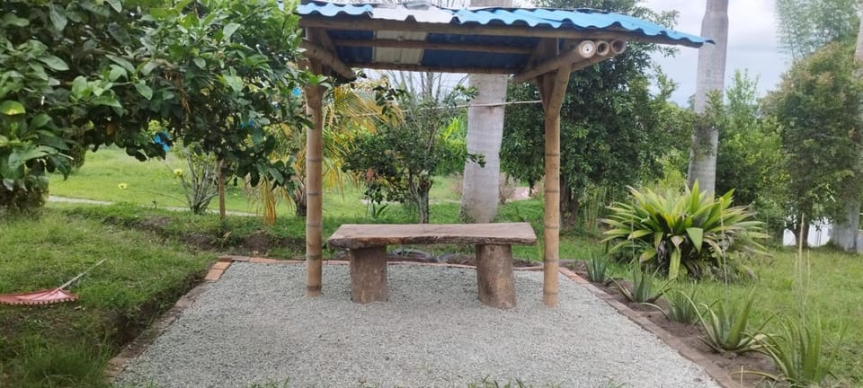 Spring, Garden, Garden view