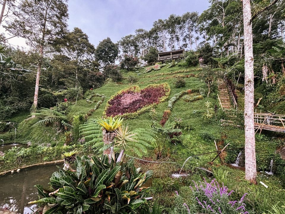 Nearby landmark, Spring, Day, Natural landscape, Garden