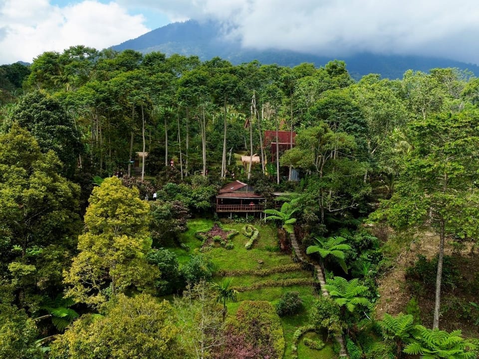 Nearby landmark, Spring, Day, Natural landscape, Garden, Garden view, Mountain view