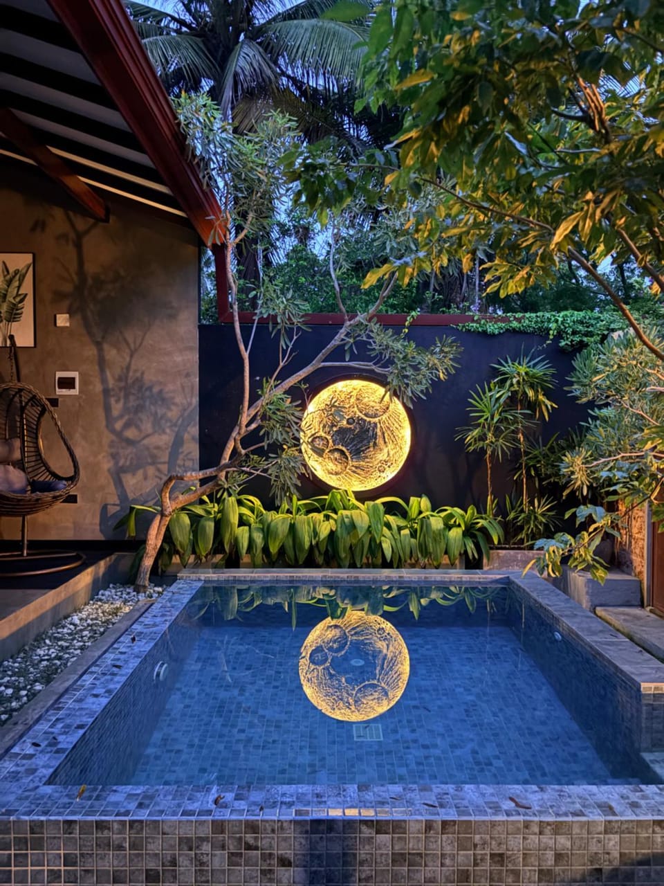 Night, Natural landscape, Garden, Hot Tub, Garden view, Pool view, Swimming pool