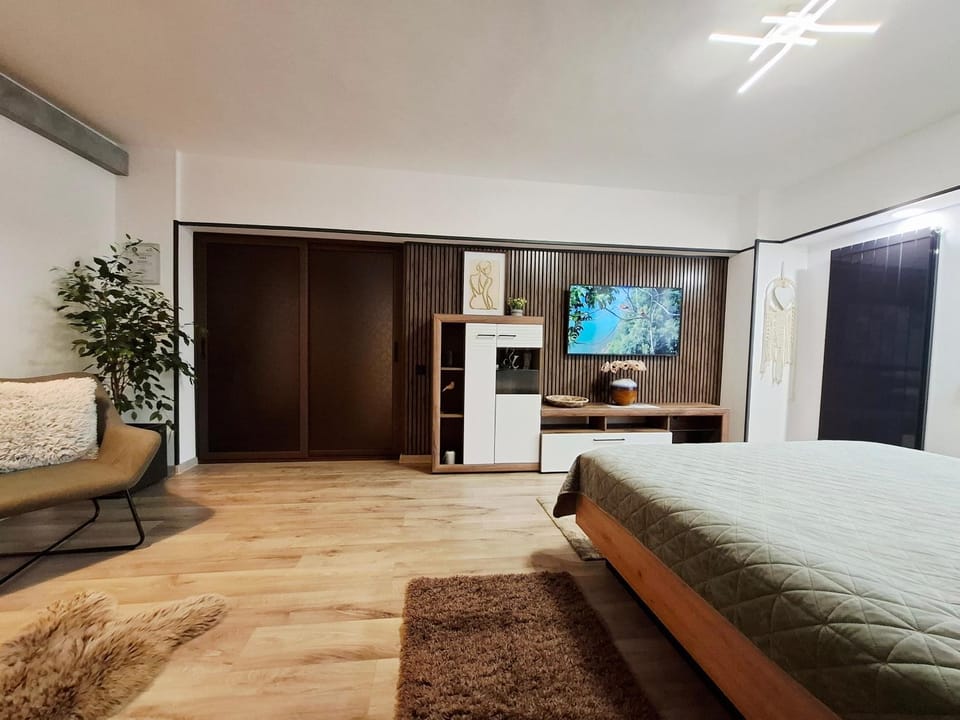 Communal lounge/ TV room, Bed, TV and multimedia, Living room, Photo of the whole room, Seating area, Evening entertainment, Bedroom