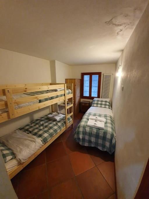 Bed, Photo of the whole room, Bedroom, bunk bed