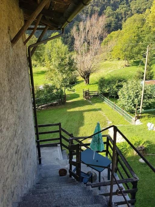 Spring, Day, Natural landscape, Garden, Garden view